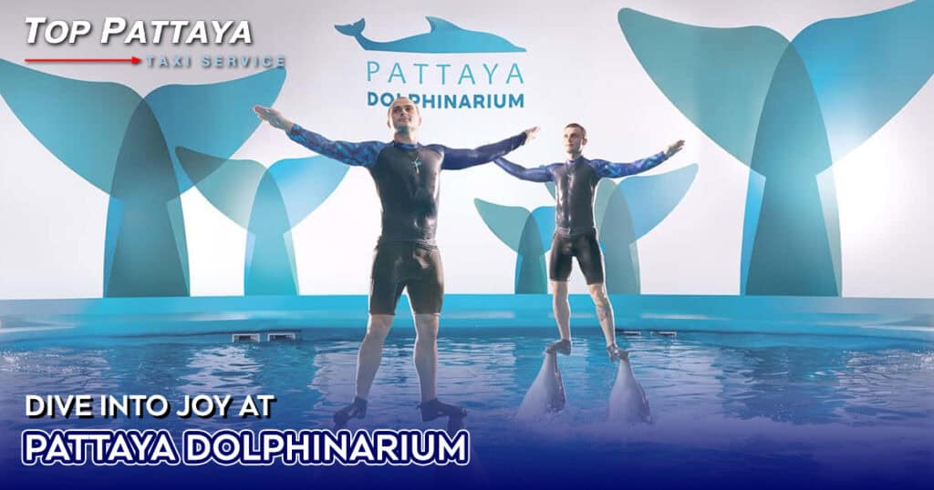 Pattaya Dolphinarium