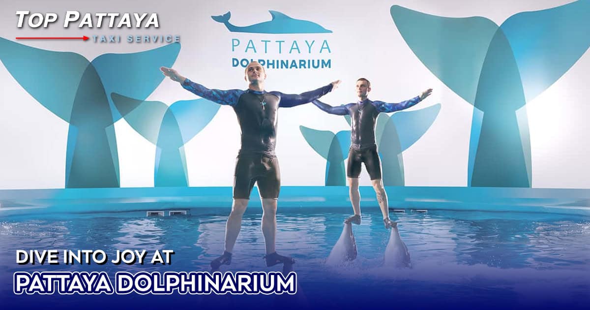 Pattaya Dolphinarium