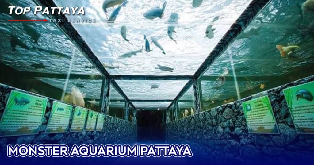 Monster Aquarium Pattaya