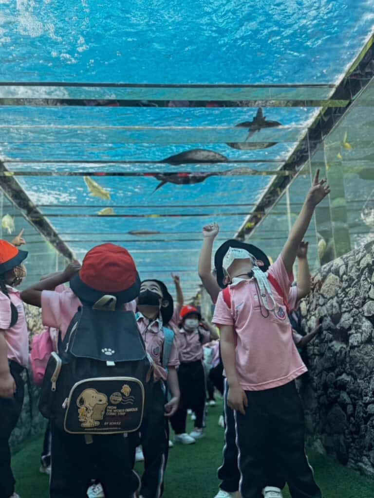 Monster Aquarium Pattaya