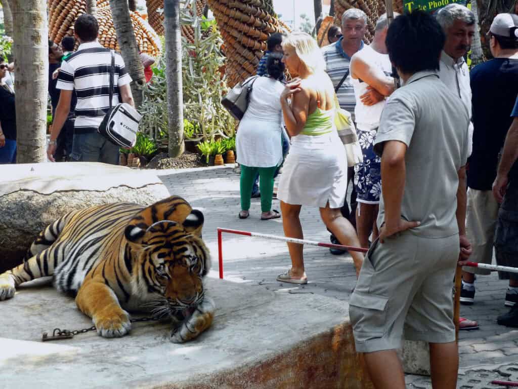 Nong Nooch Tropical Garden reviews